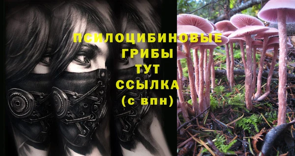 МДМА Верхний Тагил