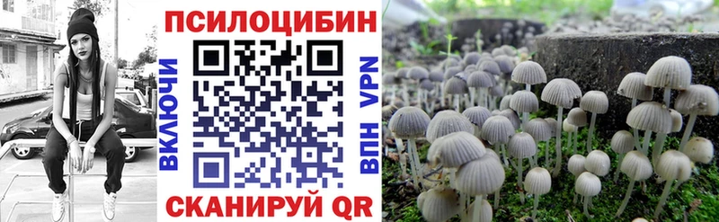 купить   Гаврилов Посад  Псилоцибиновые грибы Psilocybe 
